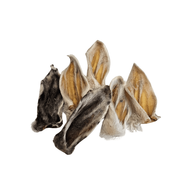 Oreille d’Agneau avec Poil – Friandise Naturelle pour l’Hygiène Dentaire et la Digestion Oreille d’Agneau avec Poil – Friandise Naturelle pour l’Hygiène Dentaire et la Digestion