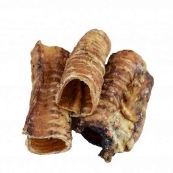 Trachée de bœuf pour chien – Une friandise naturelle pour la mastication et les articulations