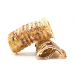🐾 Trachée de Bœuf Hors Standard – Friandise naturelle pour chien