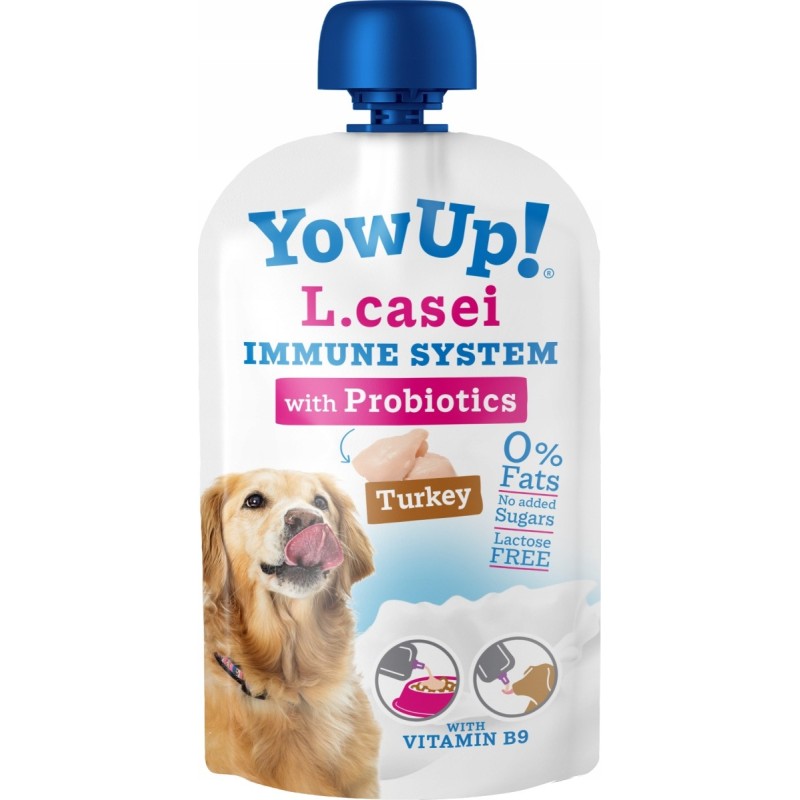 Yowup L.Casei systeme immunitaire Yowup L.Casei systeme immunitaire