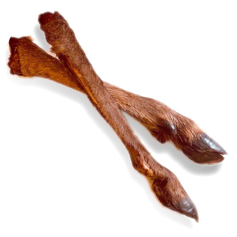 Patte de cerf avec poil