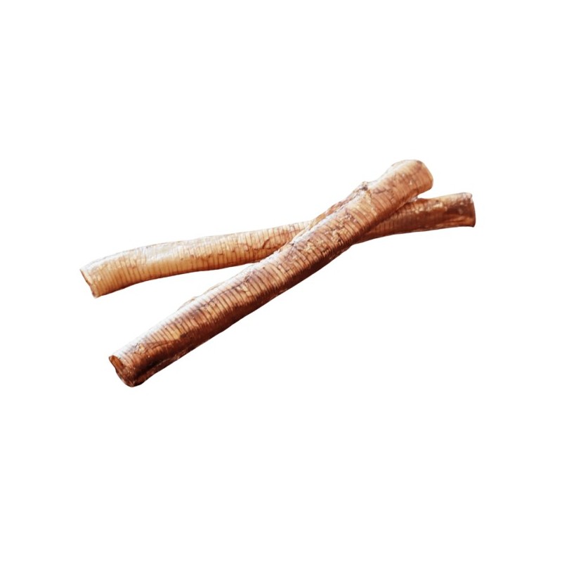 Trachée d’Autruche – Friandise hypoallergénique pour chien Trachée d’Autruche – Friandise hypoallergénique pour chien