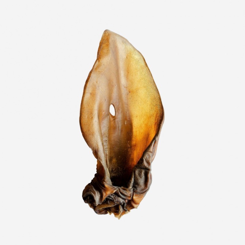 Oreille de Boeuf hors standart Oreille de Boeuf hors standart