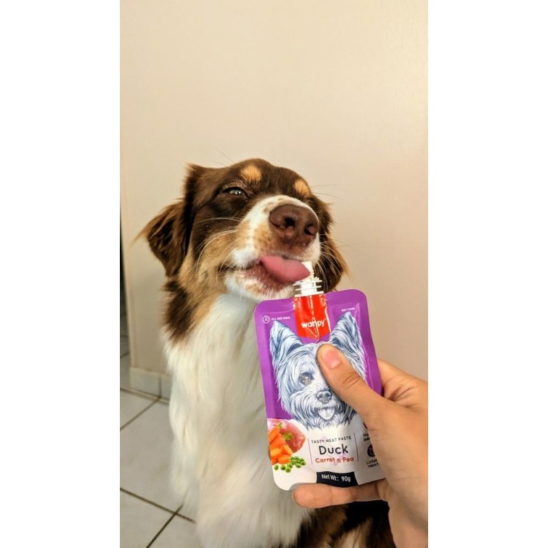 Pâtée en Gourde Wanpy – Canard & Carotte pour Chien