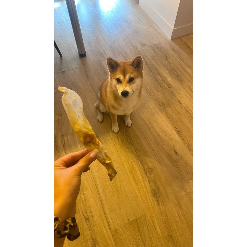 Oreille de lapin sans poil pour chien – Une friandise naturelle et légère