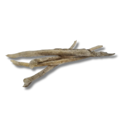 Sébaste hors standard