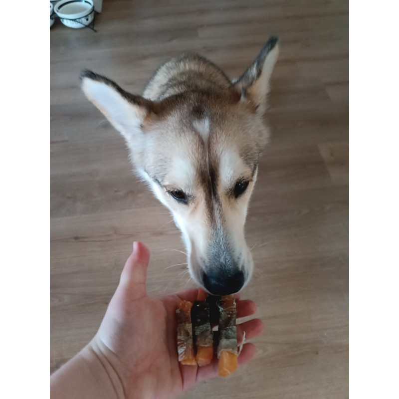 🐾 Bouchée Morue & Patate Douce – Friandise naturelle pour chien