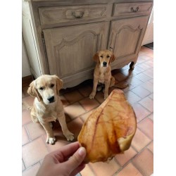 Oreille de porc pour chien – Une friandise naturelle pour une mastication saine et savoureuse Oreille de porc pour chien – Une friandise naturelle pour une mastication saine et savoureuse