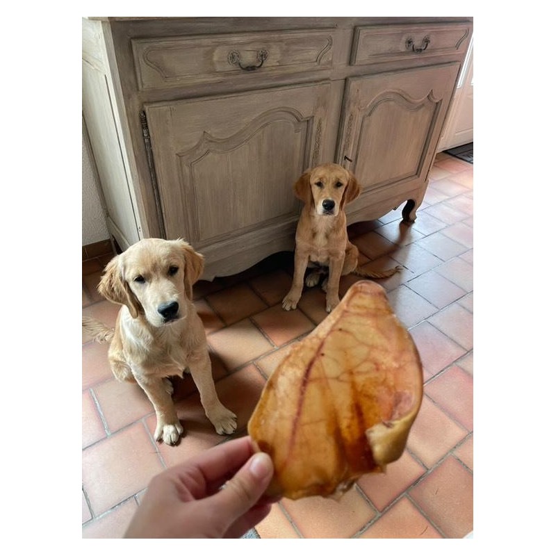 Oreille de porc pour chien – Une friandise naturelle pour une mastication saine et savoureuse Oreille de porc pour chien – Une friandise naturelle pour une mastication saine et savoureuse