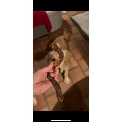 Cou de Poulet Séché – Friandise Naturelle Riche en Protéines et Calcium pour Chien Cou de Poulet Séché – Friandise Naturelle Riche en Protéines et Calcium pour Chien