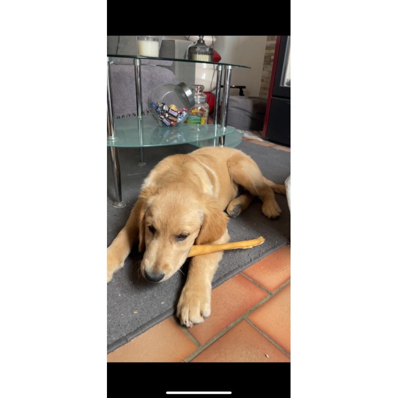 Rouleau de Peau de porc