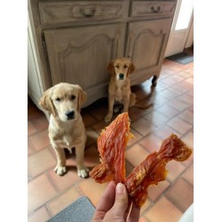 Filet de Poulet Filet de Poulet