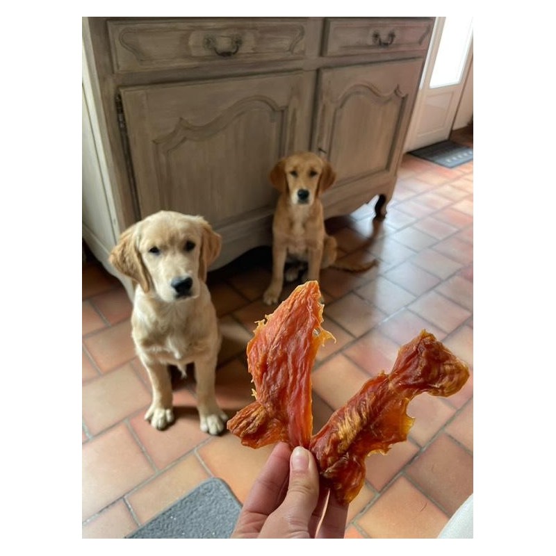 Filet de Poulet Filet de Poulet