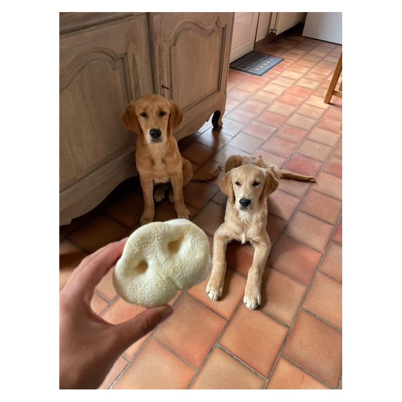 Groin de porc soufflé pour chien – Une friandise naturelle et croquante pour une mastication saine Groin de porc soufflé pour chien – Une friandise naturelle et croquante pour une mastication saine