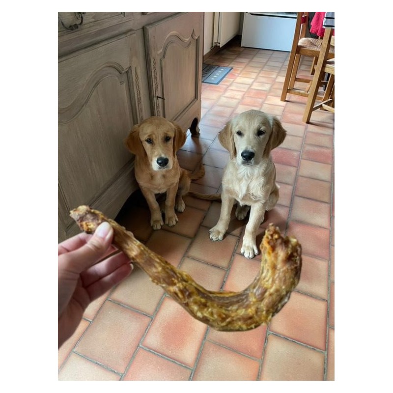 Cou de Dinde Cou de Dinde