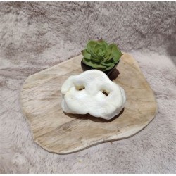 Groin de porc soufflé pour chien – Une friandise naturelle et croquante pour une mastication saine