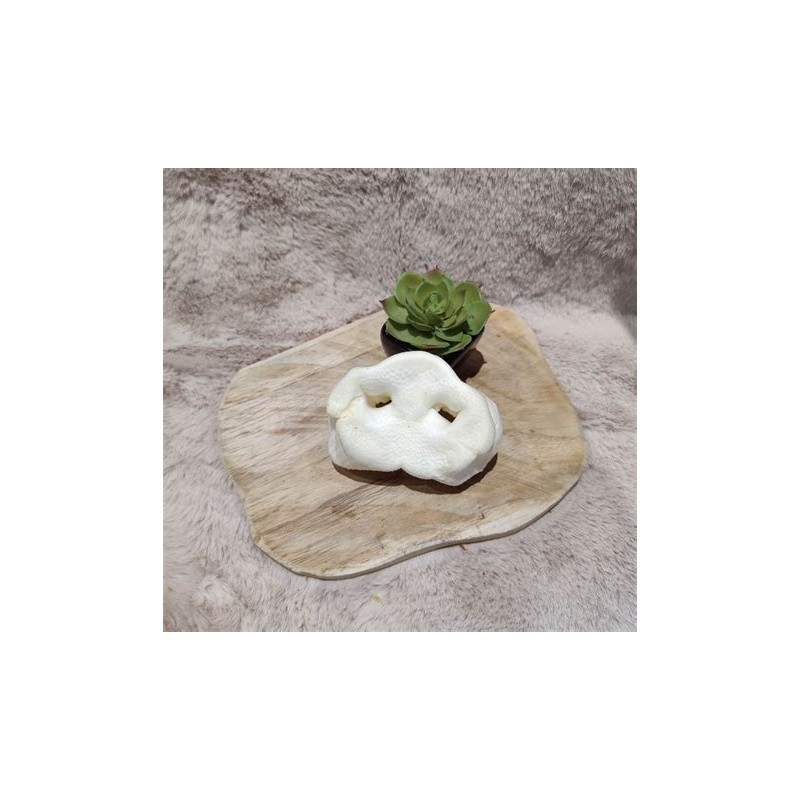 Groin de porc soufflé pour chien – Une friandise naturelle et croquante pour une mastication saine Groin de porc soufflé pour chien – Une friandise naturelle et croquante pour une mastication saine