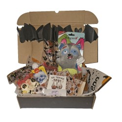Effrayante Box HALLOWEEN (peluche raton laveur)