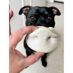 Groin de porc soufflé pour chien – Une friandise naturelle et croquante pour une mastication saine Groin de porc soufflé pour chien – Une friandise naturelle et croquante pour une mastication saine