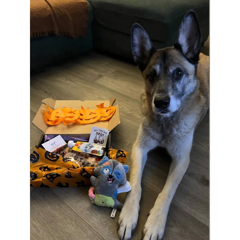 Effrayante Box HALLOWEEN (peluche raton laveur) Effrayante Box HALLOWEEN (peluche raton laveur)