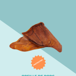 Oreille de porc pour chien – Une friandise naturelle pour une mastication saine et savoureuse