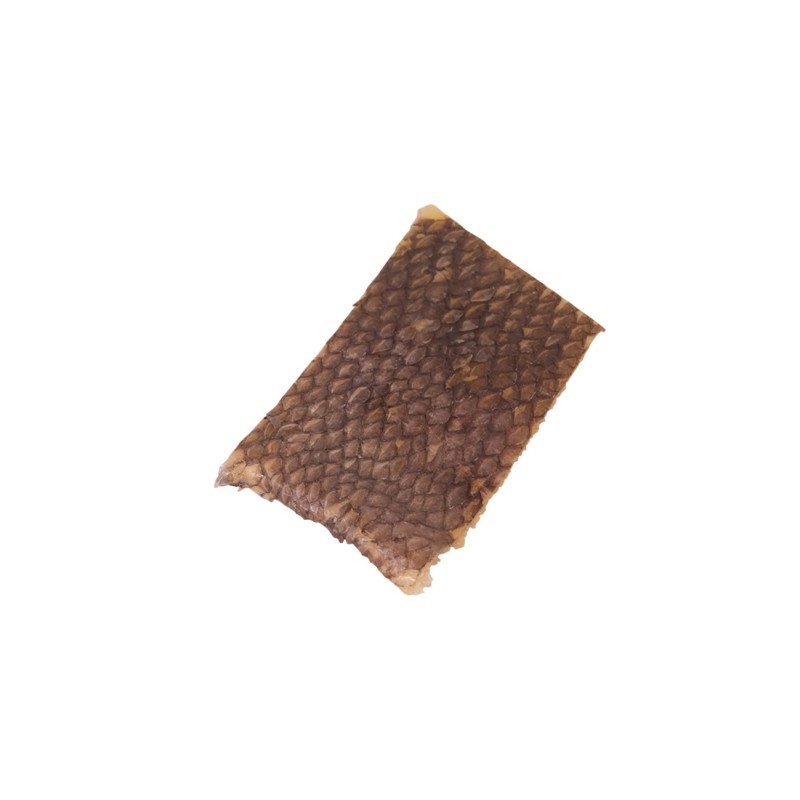 Peau de Merlu Peau de Merlu