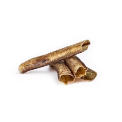 Trachée Autruche hors standart