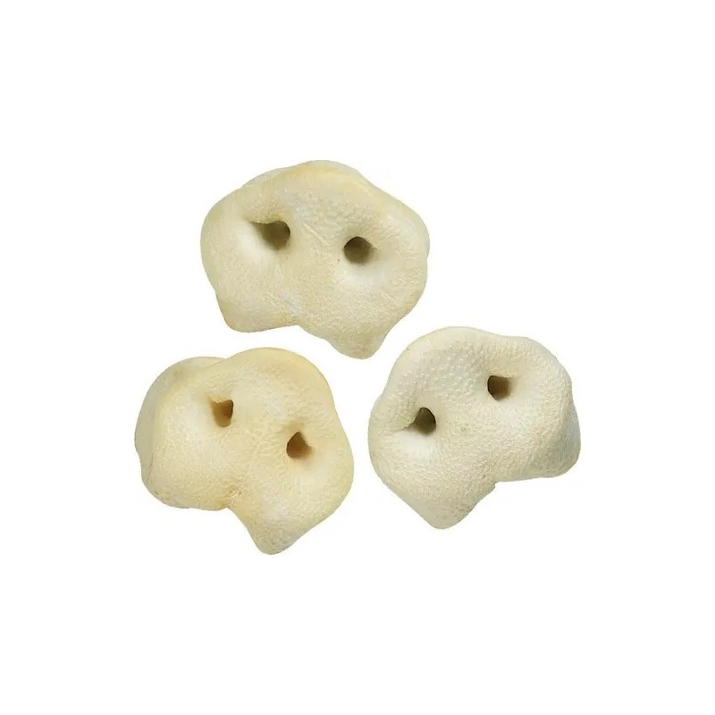 Nez de porc soufflé au miel friandise légère, croustillante et saine.