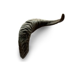 Corne de mouton pour chien – Une friandise naturelle pour une mastication saine et durable