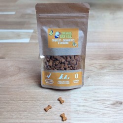 Biscuit Trésors Ulysse coquelet cacahuète curcuma