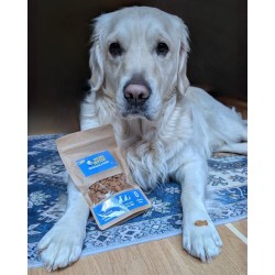 Biscuit Trésors Ulysse maquereau et persil