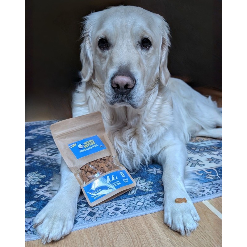 Biscuit Trésors Ulysse maquereau et persil