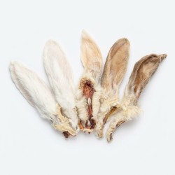 Oreille de lapin avec poil – Une friandise naturelle pour chien, légère et digeste