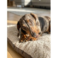 Cou de Poulet Séché – Friandise Naturelle Riche en Protéines et Calcium pour Chien