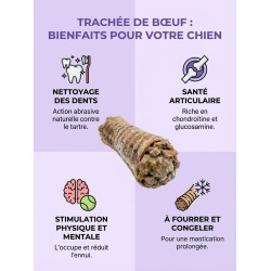 Bienfaits de la Trachée de Boeuf pour Chien: Nettoyage des dents, Bon pour les articulations, Simulation physique et Mentale Bienfaits de la Trachée de Boeuf pour Chien: Nettoyage des dents, Bon pour les articulations, Simulation physique et Mentale