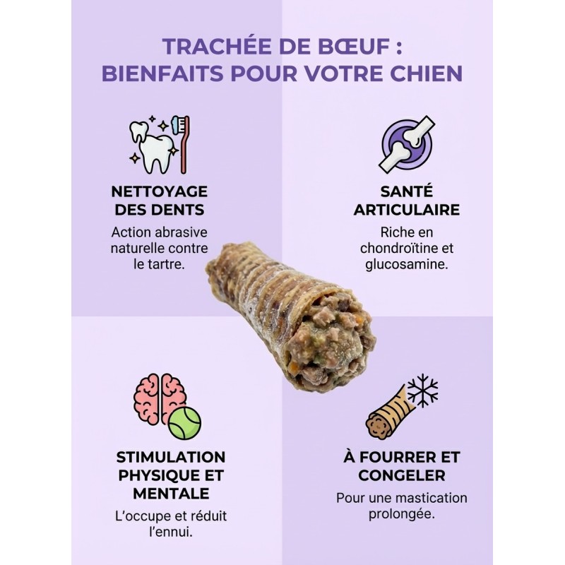 Bienfaits de la Trachée de Boeuf pour Chien: Nettoyage des dents, Bon pour les articulations, Simulation physique et Mentale Bienfaits de la Trachée de Boeuf pour Chien: Nettoyage des dents, Bon pour les articulations, Simulation physique et Mentale