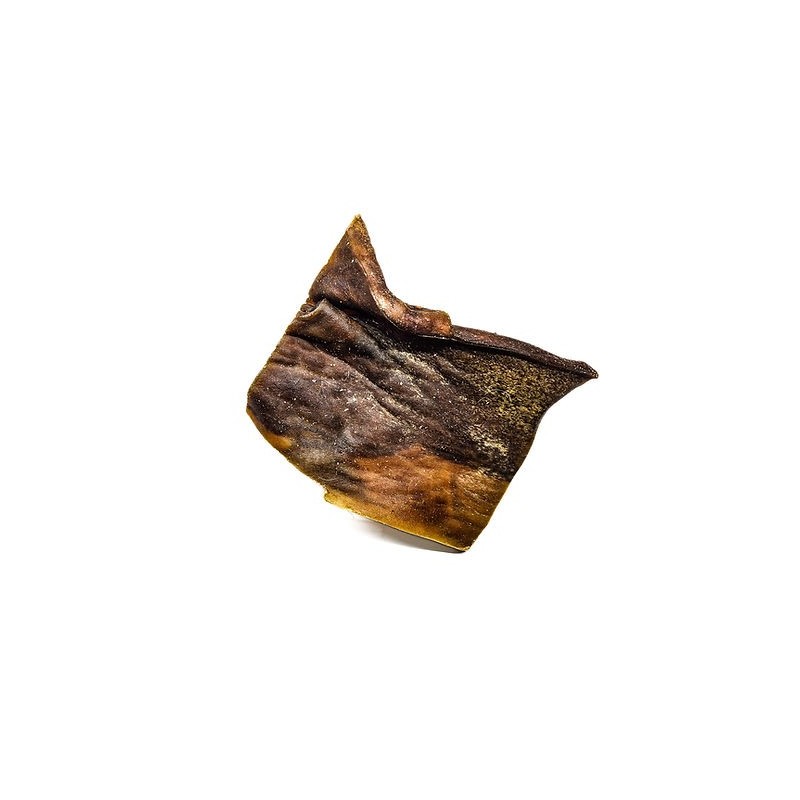 Petite Plaque de Peau de Chameau