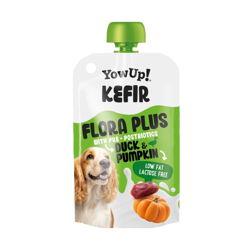 Kéfir canard courge YOWUP
