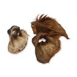 Oreille de veau avec poils hors standard