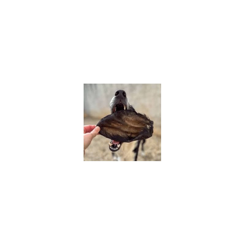 Oreille de veau avec poils hors standard Oreille de veau avec poils hors standard