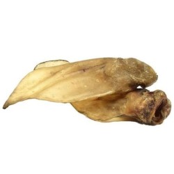 Oreille de boeuf hors standard