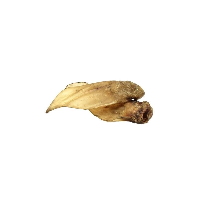 Oreille de boeuf hors standard Oreille de boeuf hors standard