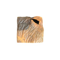 Plaque de peau de chameau naturelle présentée seule, mettant en évidence son format, son épaisseur et sa texture.