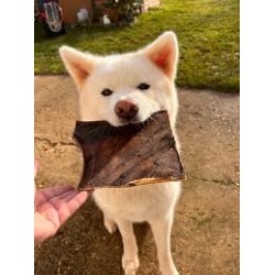 Chien moyen ou grand mâchant une plaque de peau de chameau naturelle. Chien moyen ou grand mâchant une plaque de peau de chameau naturelle.