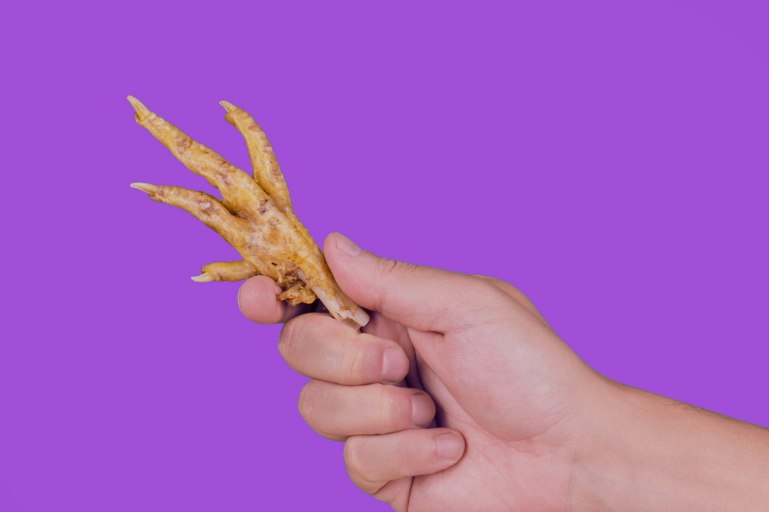 Pourquoi tu dois donner des pattes de poulet à ton chien