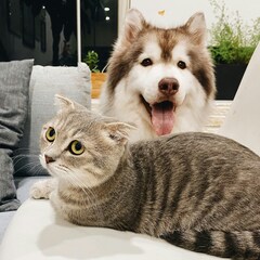 Photo de profil B.C.