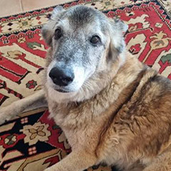 Photo de profil Melissa