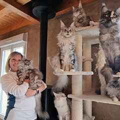 Photo de profil V. B.