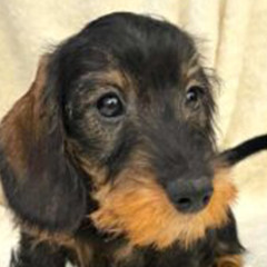 Photo de profil Kati