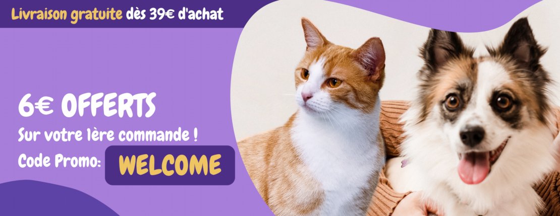 Bannière de promo de bienvenue Bannière de promo de bienvenue